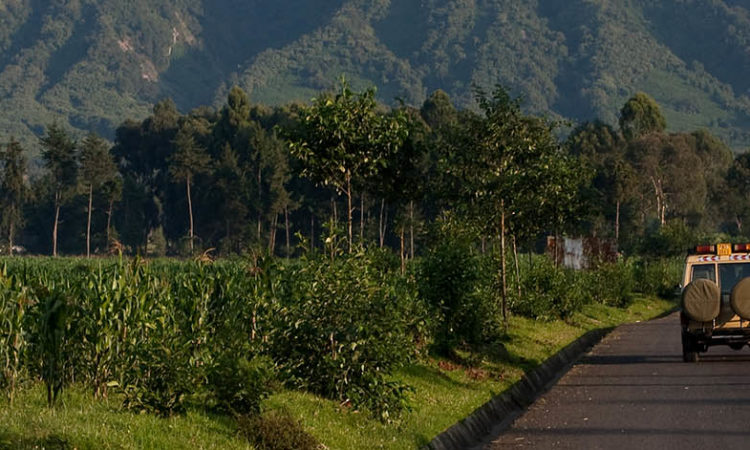 Volcnoes National Park Rwanda