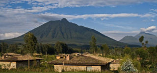 Mountain Gorilla View Lodge