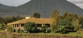 Mountain Gorillas Nest lodge