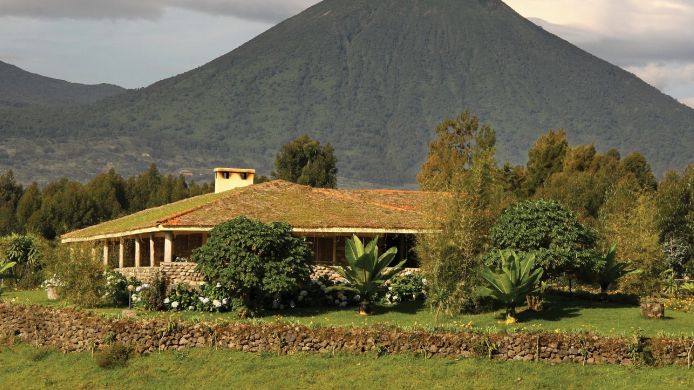 Mountain Gorillas Nest lodge