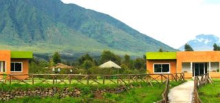 Mountain Gorilla View Lodge