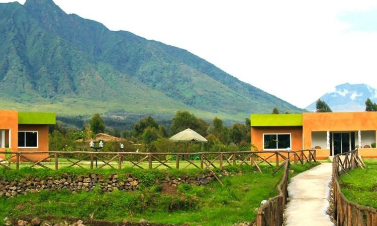Mountain Gorilla View Lodge