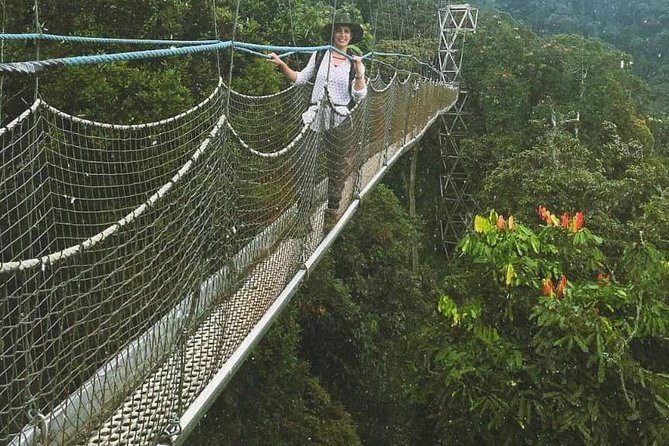 Nyungwe National Park