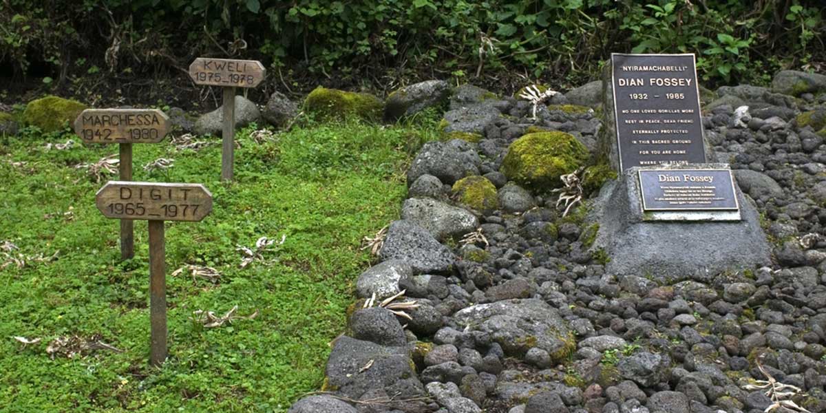 Where is Volcanoes National Park Located?