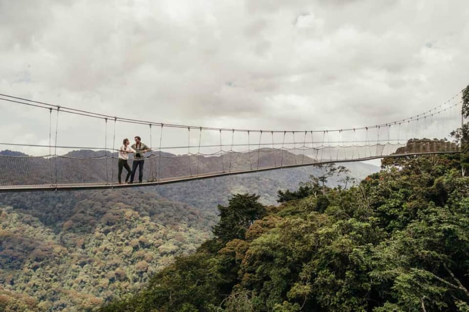 Canopy Walkway