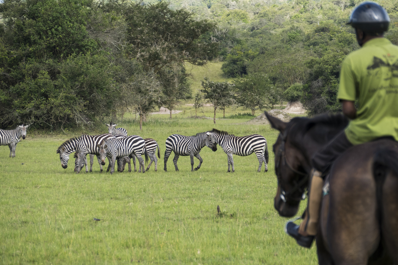 3 Days Lake Mburo Wildlife Safari