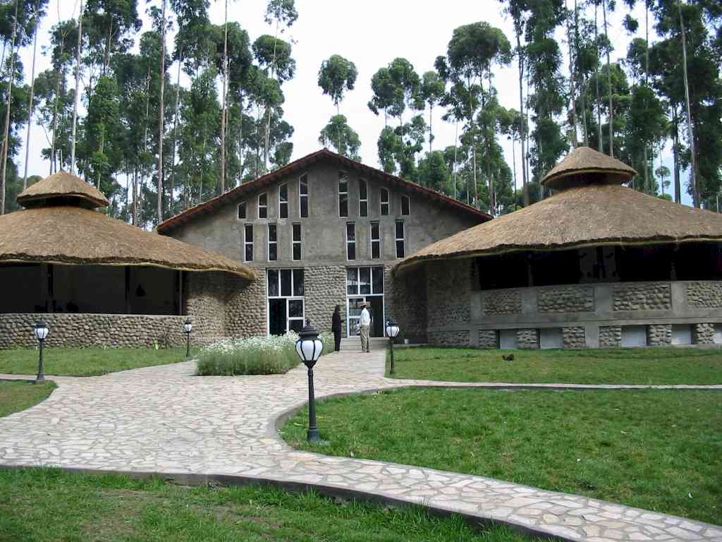 Gorilla’s Nest Lodge