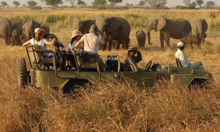 Game Viewing Safaris in Uganda By Explore Rwanda Tours