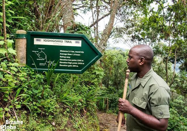 Trails of Nyungwe Forest National Park