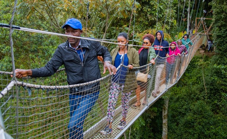The Canopy Walk in Rwanda