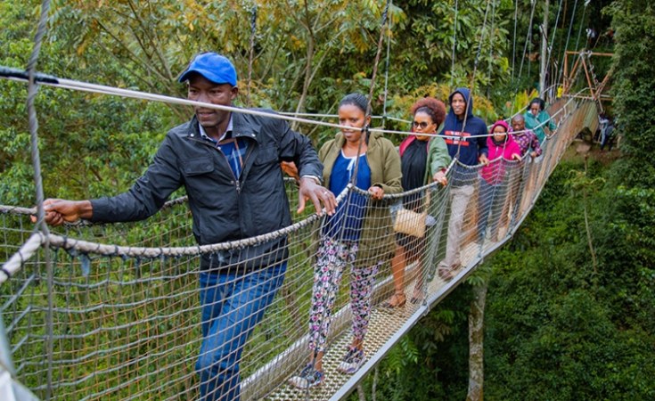 canopy walk in Nyungwe 