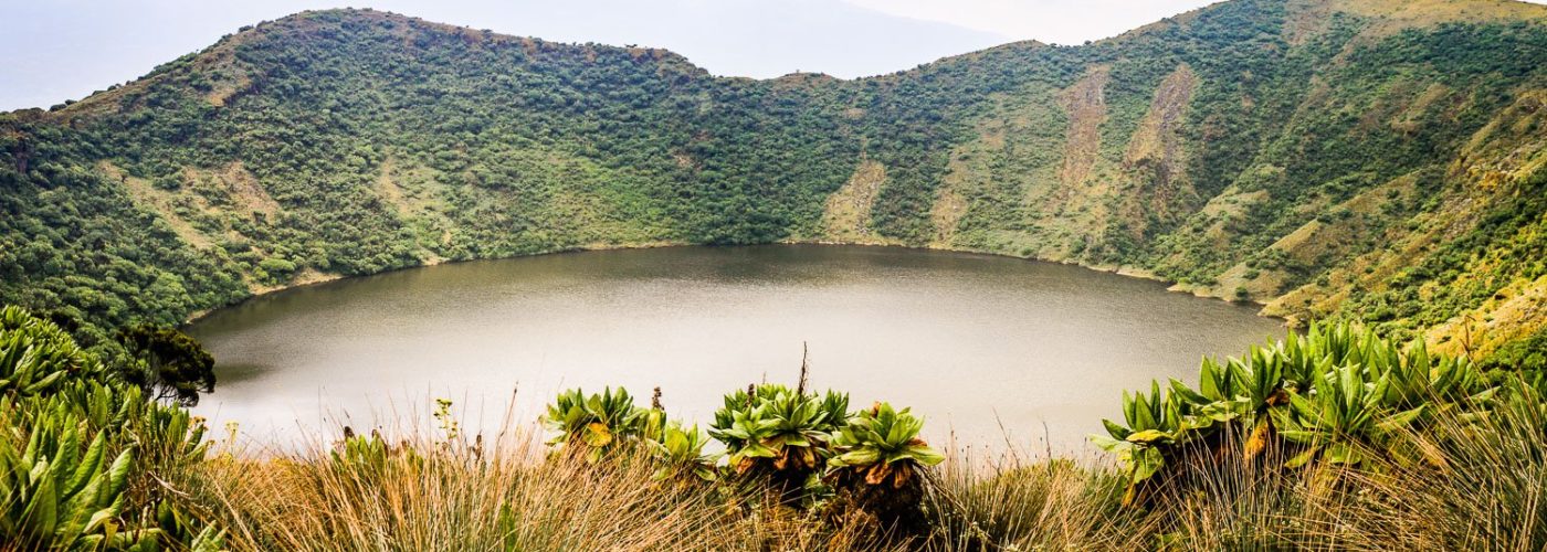 Volcanoes National Park, volcanoes national park Rwanda