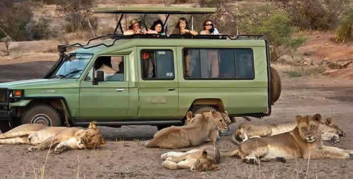 4 Days Kibale and Queen Elizabeth national park safari