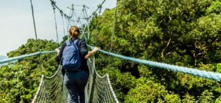 Activities in Nyungwe national park