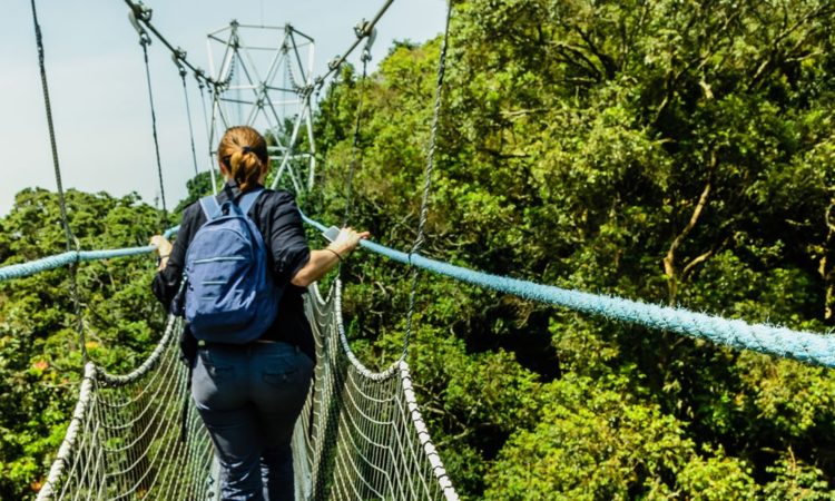 Activities in Nyungwe national park