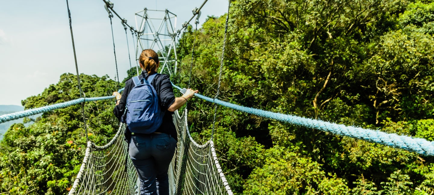 Activities in Nyungwe national park