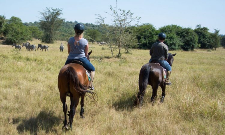 2 days horseback riding in Lake Mburo National Park
