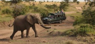 3 Days Murchison Falls Park Safari