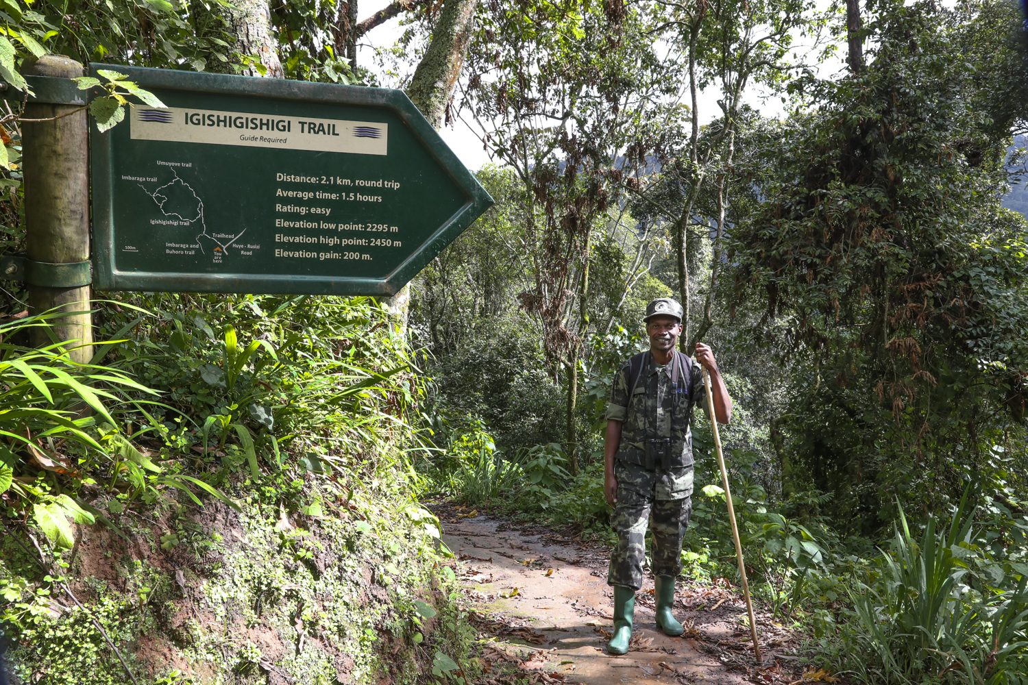 Nyungwe national park Prices