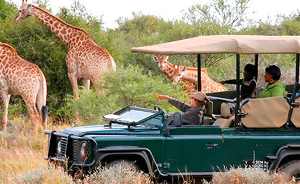 Top Tourism Activities in Akagera National Park
