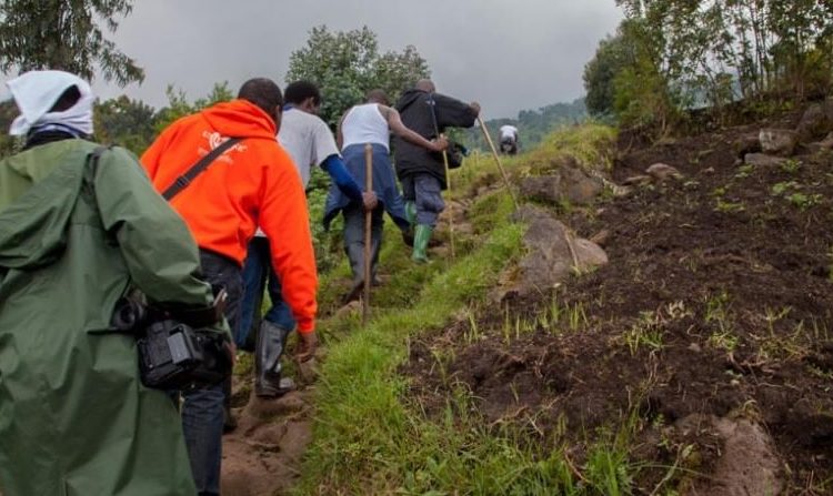 2 days Mount Karisimbi Hike