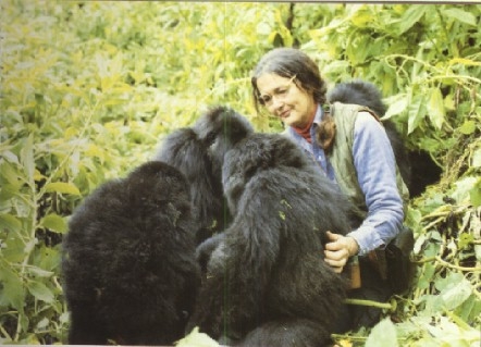 Who Killed Dian Fossey?