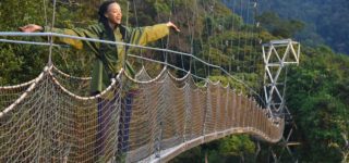 The canopy walk in Rwanda