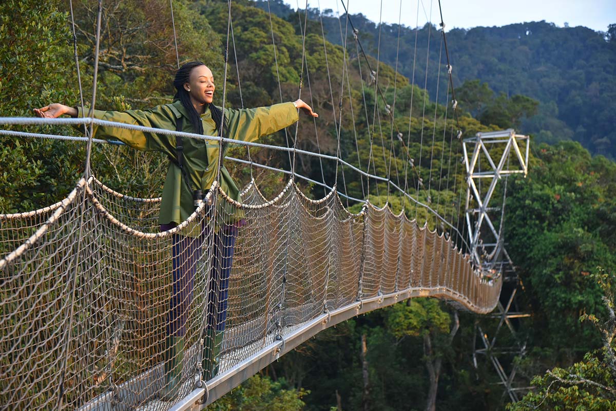 The canopy walk in Rwanda