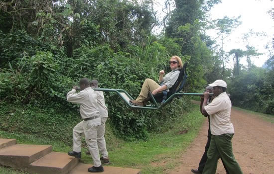 Using Porters During Gorilla Trekking