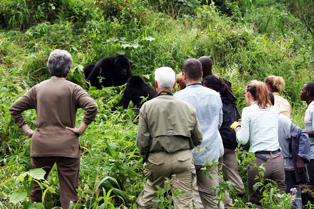 Are group safaris better than sole safaris?