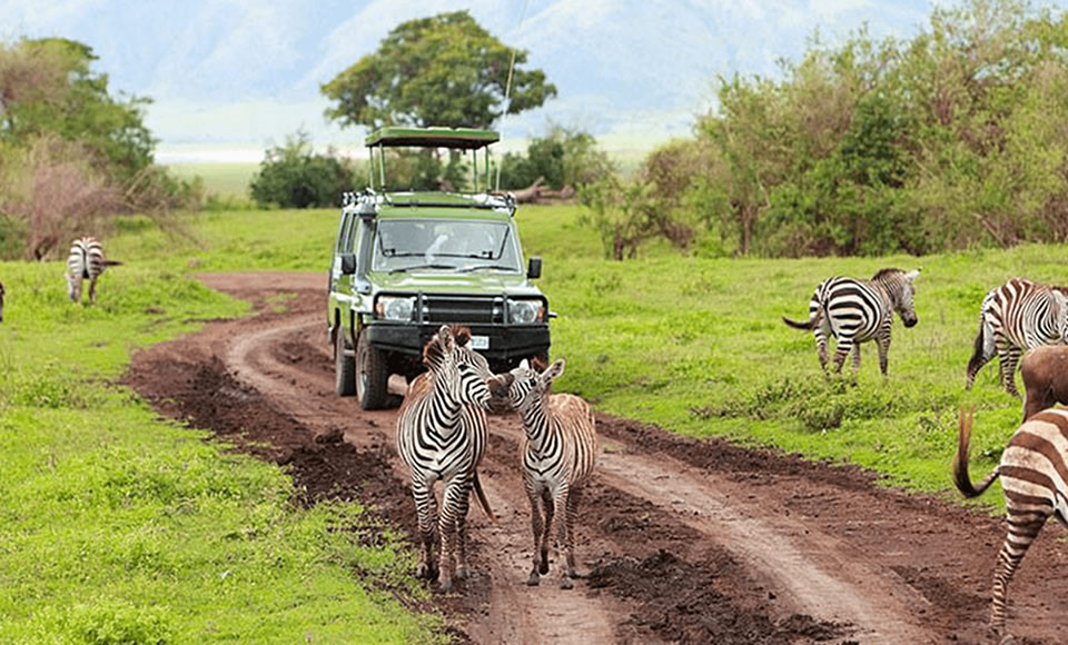 How to prepare for a Rwanda Safari