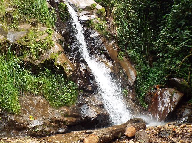 Top 7 Tourist Activities to do in Gishwati Mukura National park
