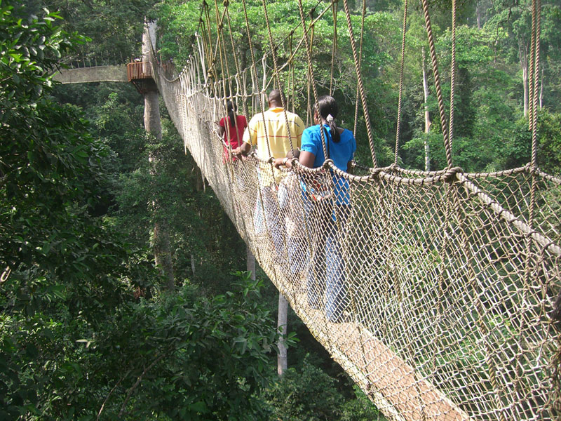 16 Days Rwanda Classic Safari