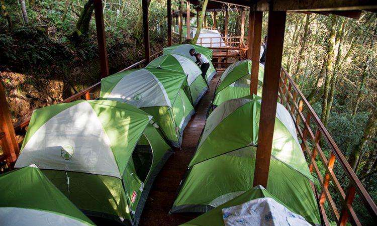 Camping Tours in Nyungwe Forest National Park
