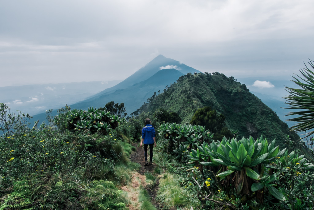 Exploring Rwanda's Natural Wonders