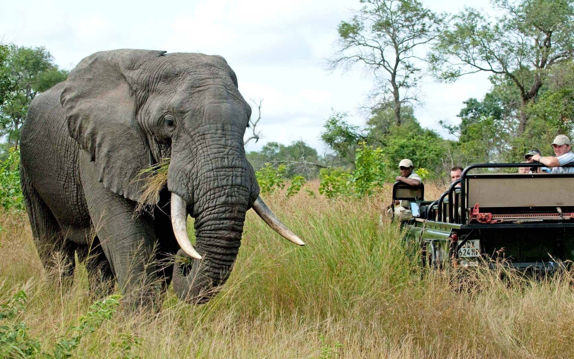 Keeping children safe on a Safari