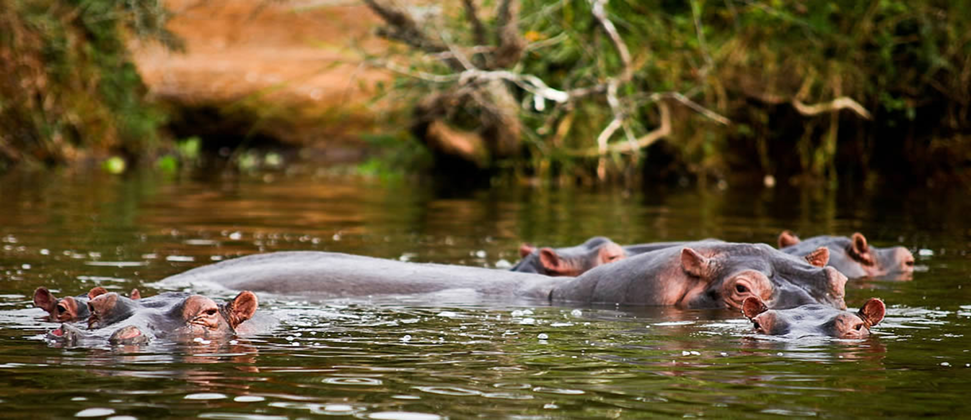 Lake Mburo national park