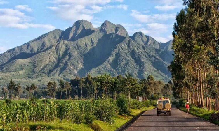 When is the Best Time to Visit Rwanda