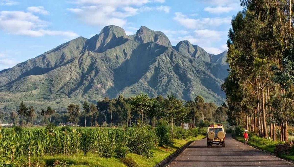 Best Time to Visit Rwanda: Uncover Ideal Seasons and Adventures