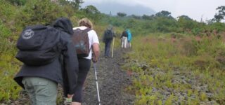 How To Hike Mount Bisoke Effectively