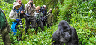 How To Dress For Gorilla Trekking Safari