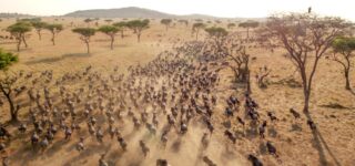 4 Days Kenya Luxury Safari