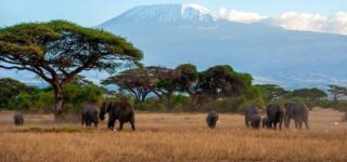 Amboseli National Park