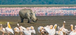 3 days Lake Naivasha & Lake Nakuru parks Kenya wildlife safari tour