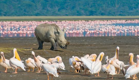 3 days Lake Naivasha & Lake Nakuru parks Kenya wildlife safari tour