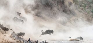 5 Days Incredible Tanzania Safari