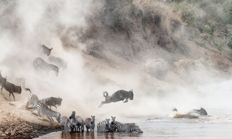 5 Days Incredible Tanzania Safari