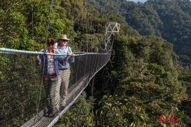 10 Days Rwanda Gorillas, chimps and Big Five Safari