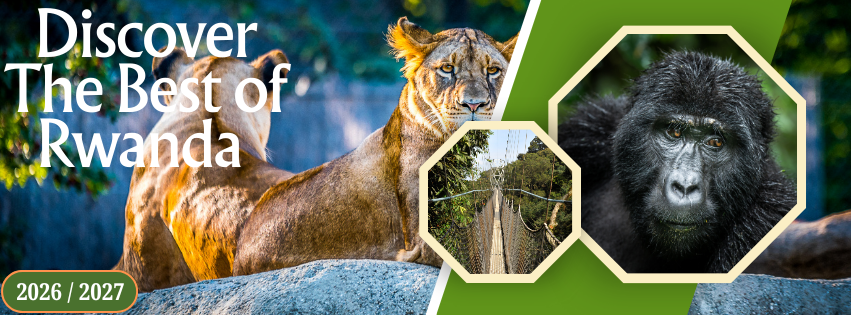 Rwanda Gorilla Safaris