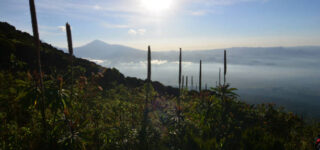 Mount Karisimbi Hiking Experience in Rwanda